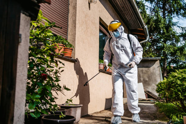 Best Pest Control for Restaurants  in Clifton Gardens, NY