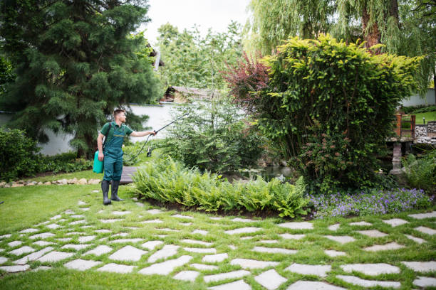 Best Flea Control Services  in Clifton Gardens, NY