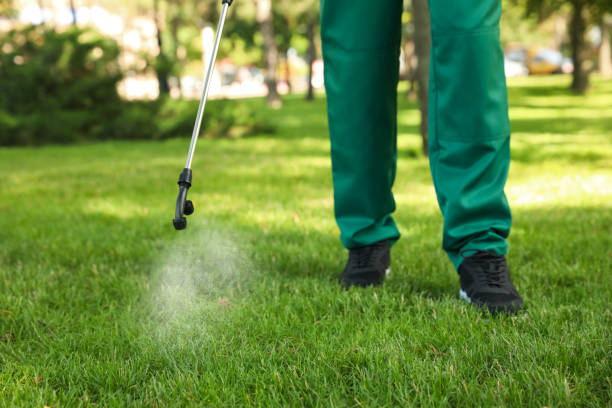 Best Local Pest Control Services  in Clifton Gardens, NY