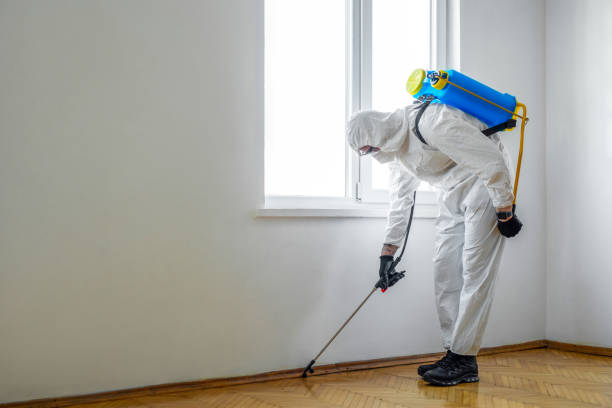 Best Pest Control Near Me in Clifton Gardens, NY