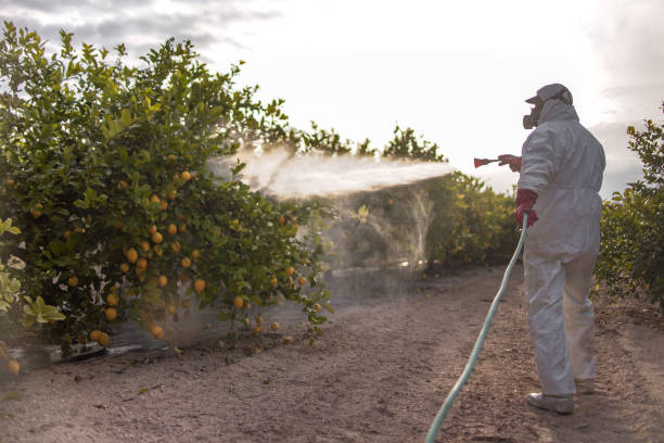 Best Best Pest Control Companies  in Clifton Gardens, NY